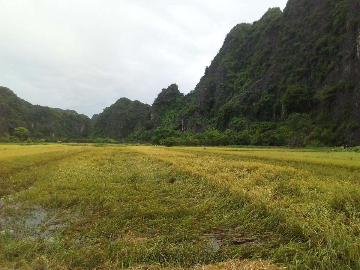 Tam Coc Smile Homestay Ninh Binh Eksteriør bilde